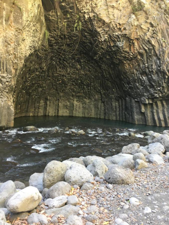 Au Coeur Du Sud Leilighet Saint-Joseph Eksteriør bilde
